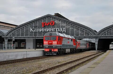 Москва калининград 2024