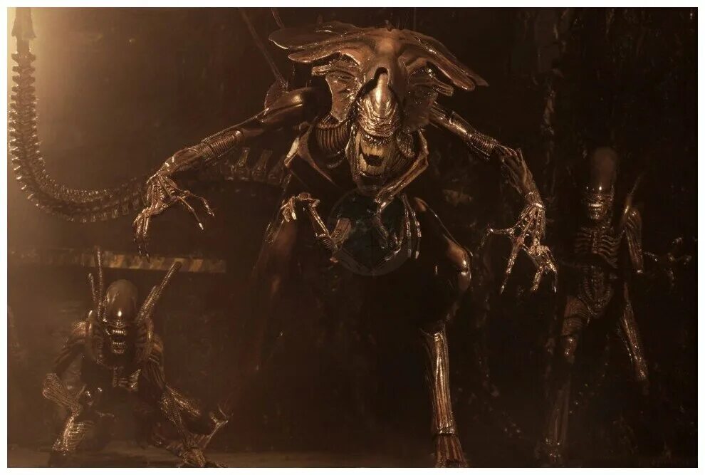 Aliens Alien Queen Maquette by Sideshow Collectibles