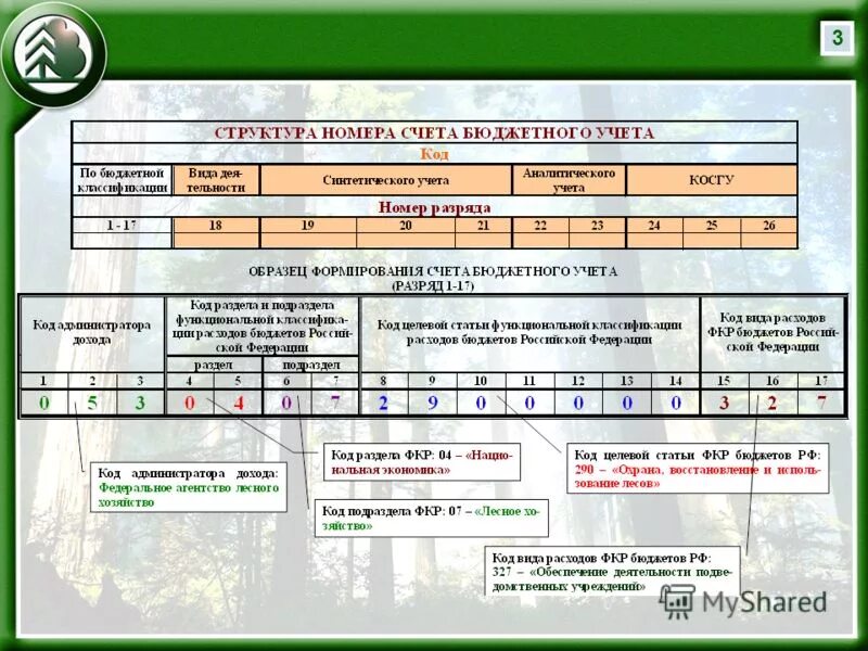Структура счета бюджетного учета. Номер счета бюджетного учета. Структура номера счета бюджетного учета. Номер разряда счета в бюджете. Код счетов бюджетного учета