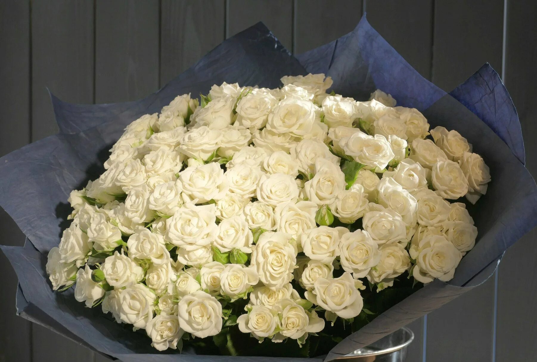 Кустовые розы "сноуфлейк". Сноуфлейк. Сноуфлейк. Кустовые розы "сноуфлейк". Сноуфлейк.