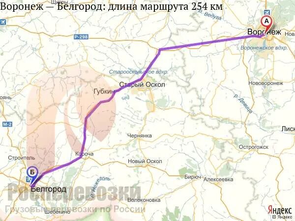 Сколько километров до губкина