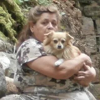 Valeriya bear wolf