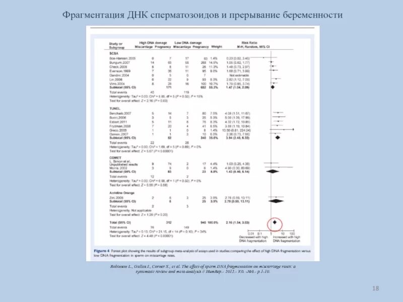 Днк методом tunel. Результаты фрагментации ДНК спермограммы. Оценка фрагментации ДНК спермограммы норма. Фрагментация спермограммы ДНК расшифровка анализа. Расшифровка фрагментации ДНК спермограммы.