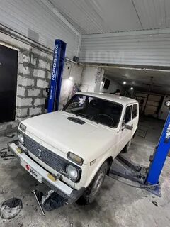 Нива бийск