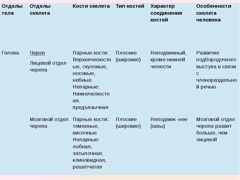 Отдел кости функции. Биология 8 класс таблица отделы тела отделы скелета кости скелета. Отделы скелета туловища таблица. Таблица по биологии 8 класс отделы тела отделы скелета кости скелета. Таблица отдел скелета скелет туловища.