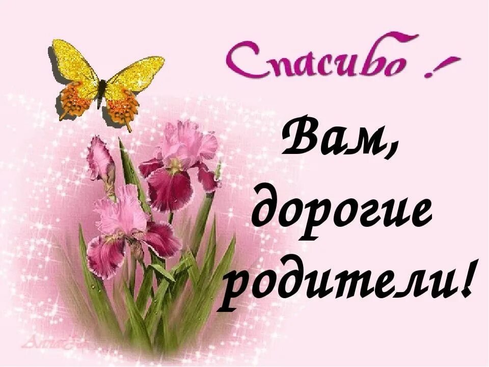 Спасибо за поздравление от учителя. Спасибо родителям. Спасибо дорогие родители. Открытка благодарность родителям. Расибо дорогие родители.