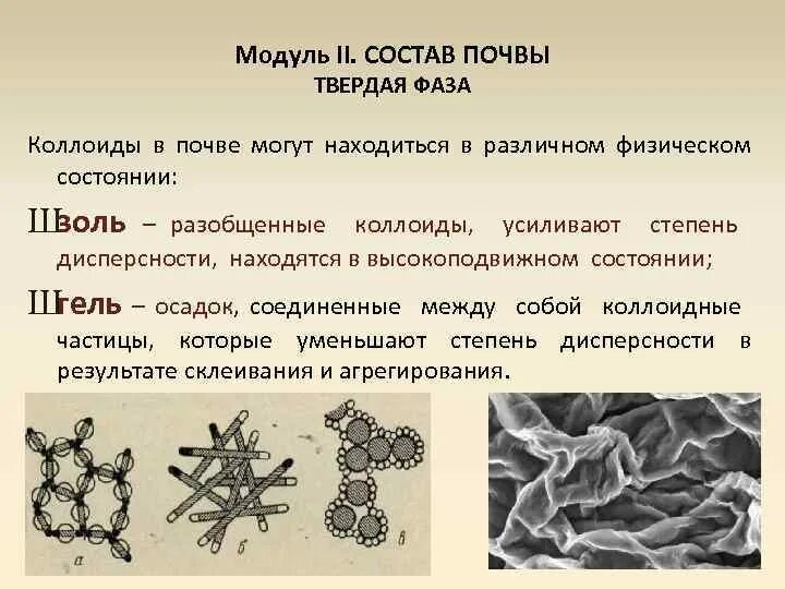 Частицы 2 фазы. Строение коллоидной частицы почвы. Почвенные коллоиды. Состав и строение почвенных коллоидов. Характеристика почвенных коллоидов.