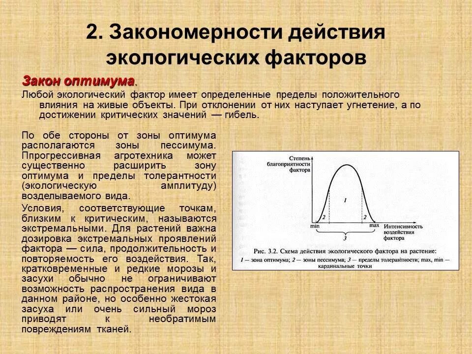 Закономерности воздействия факторов среды на организмы. Воздействие экологических факторов. Закономерности экологических факторов. Схема действия экологического фактора. В экологии существуют определенные закономерности воздействия экологических