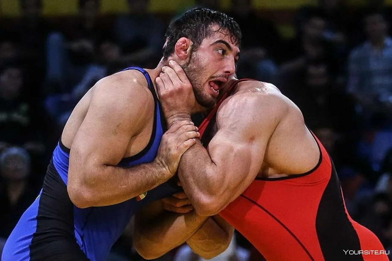 Фразы про борьбу. Вольная борьба цитаты. Александр карелин борец. Борьба великих людей. Александр карелин.