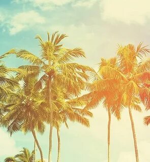 Summer favorites