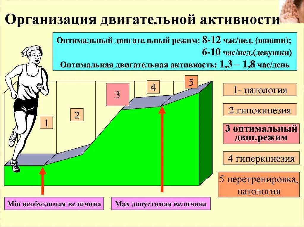Оптимальная двигательная активность. Оптимальная двигательная активность в день. План двигательной активности. Оптимальный двигательный режим