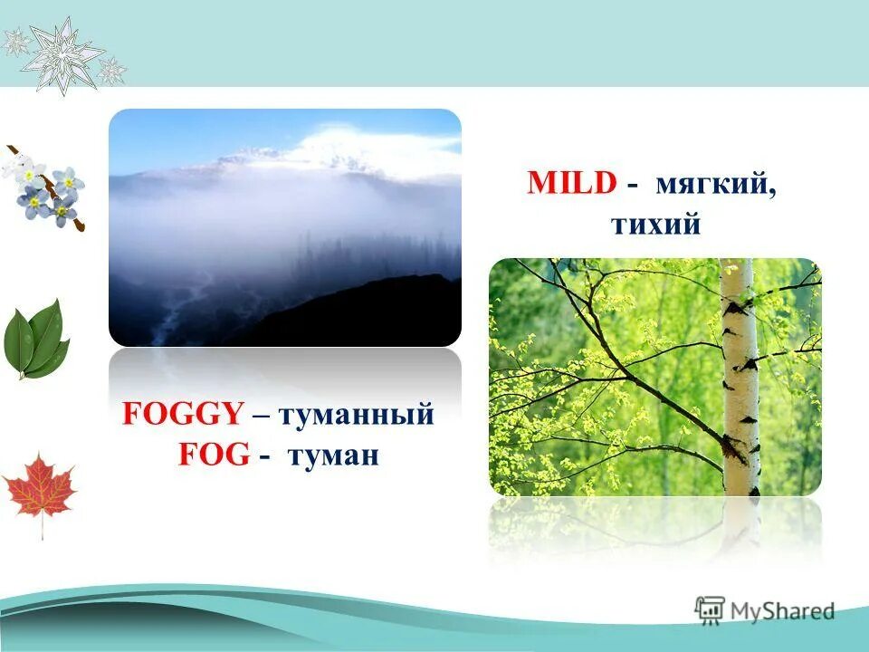 Стихотворение с мягким знаком. Катя бауман иллюстратор. Мягкий голос. Пушистые лапки. Стихи рубцова букет.