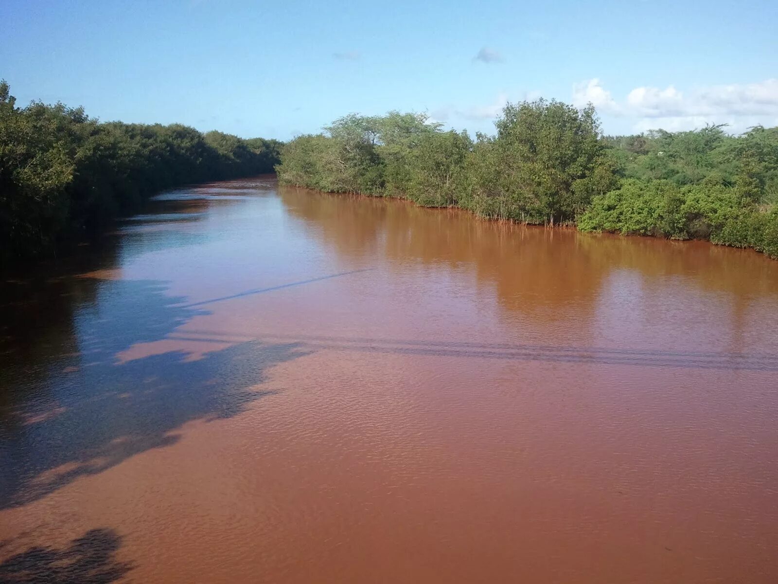 Вблизи края воды. Коричневая река. Коричневая вода в реке. Цвет реки. Мутная река.