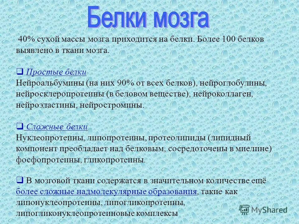 белковая масса