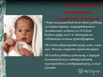 Жизнь начинается с момента зачатия