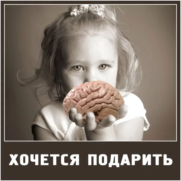 Хочется подарок. Дарю мозги. Подарить мозг. Хочется подарить мозги. Отсутствие мозгов картинки.