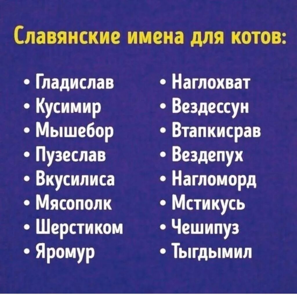 Имя мальчика 4 букв. Славянские имена. Старорусские имена. Древние славянские имена. Старославянские имена мужские.