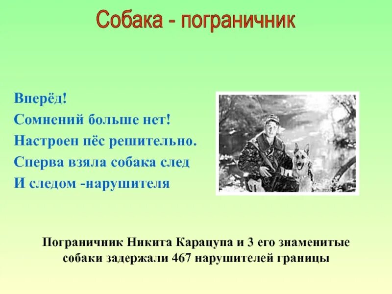 Загадка про пограничную собаку. Загадка про пограничника для детей. Загадки про пограничную собаку для детей.