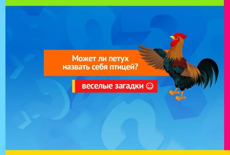 Как называют петухов клички. Может ли петух назвать себя птицей. Как назвать петуха. Может ли петух назвать себя птицей ответ на загадку. Как назвать петуха клички.