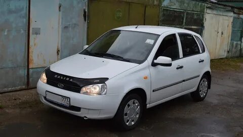 Калина 1 белая