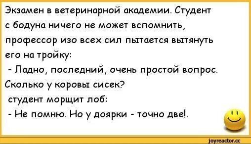 Анекдоты про студентов. Анекдоты про студентов смешные. Смешная сценка про экзамены. Анекдоты про студентов и преподавателей смешные.