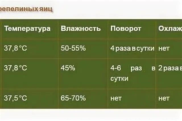 Таблица вывода перепелов в инкубаторе в домашних. Инкубация перепелиных яиц в инкубаторе. Таблица инкубации перепелов в инкубаторе блиц. Таблица вывода перепелов в инкубаторе блиц 72. Температура тела кур