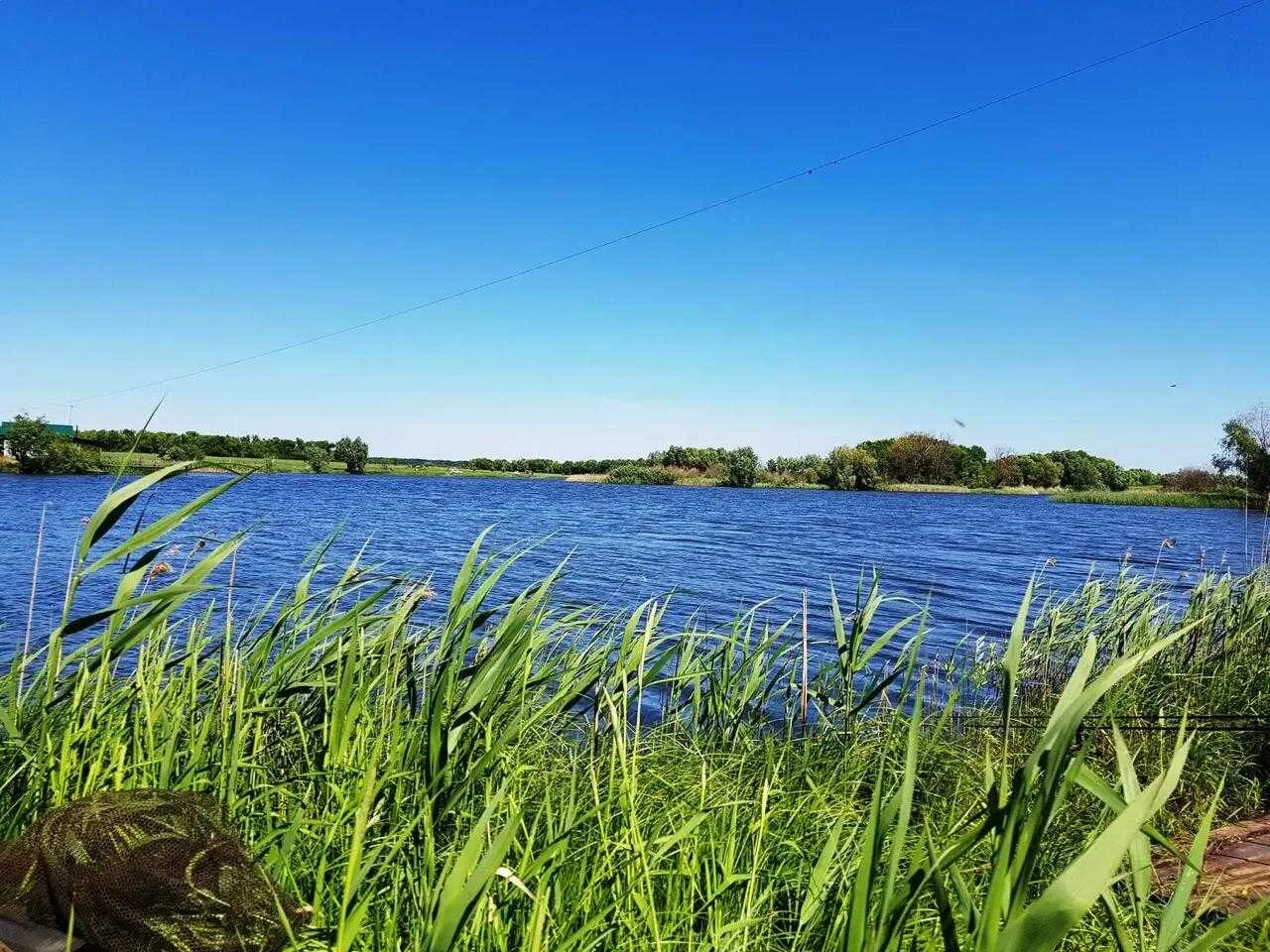 Рыбхоз варваровка алексеевский. Рыбхоз алексеевский, село варваровка. Рыбхоз варваровка алексеевский. Рыбхоз алексеевский, село варваровка. Беловское водохранилище рыбное хозяйство.