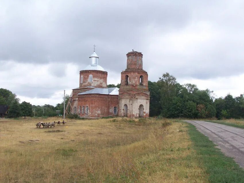 Село губино. Губино Лебедянский район. Губино (Козельский район). Церковь Покрова Пресвятой Богородицы в Губино. Село Губино Липецкая область.