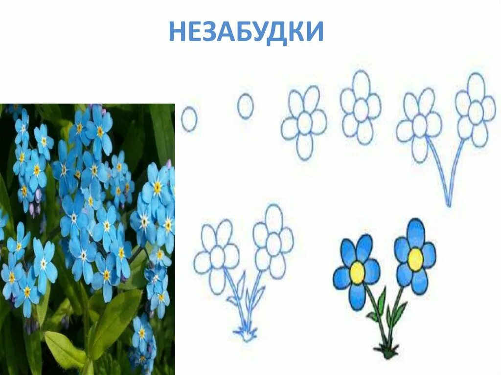 Изо 4 класс весенние цветы. Изо 4 класс весенние цветы