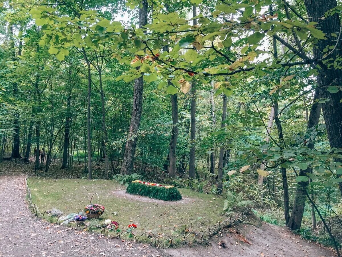 музей усадьба л н толстого в ясной поляне. ясная поляна произведение. ясная поляна 1828. лев николаевич толстой детская литература. усадьба льва николаевича толстого ясная поляна 1900.