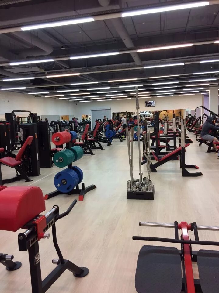 Качалка кемерово. Качалка кемерово. Качалка кемерово. Эндорфин кызыл тренажерный зал. Качалка кемерово.