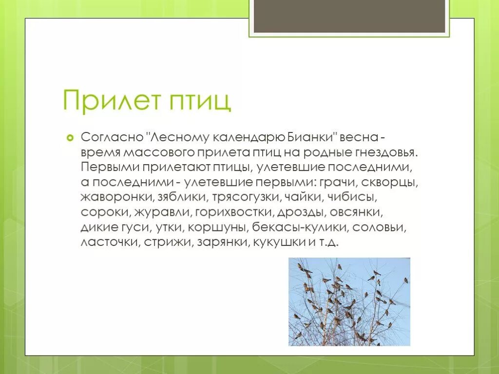 Сценарий в гости к весне. Презентация прилет птиц. Календарь прилета птиц. Прилет птиц сочинение.