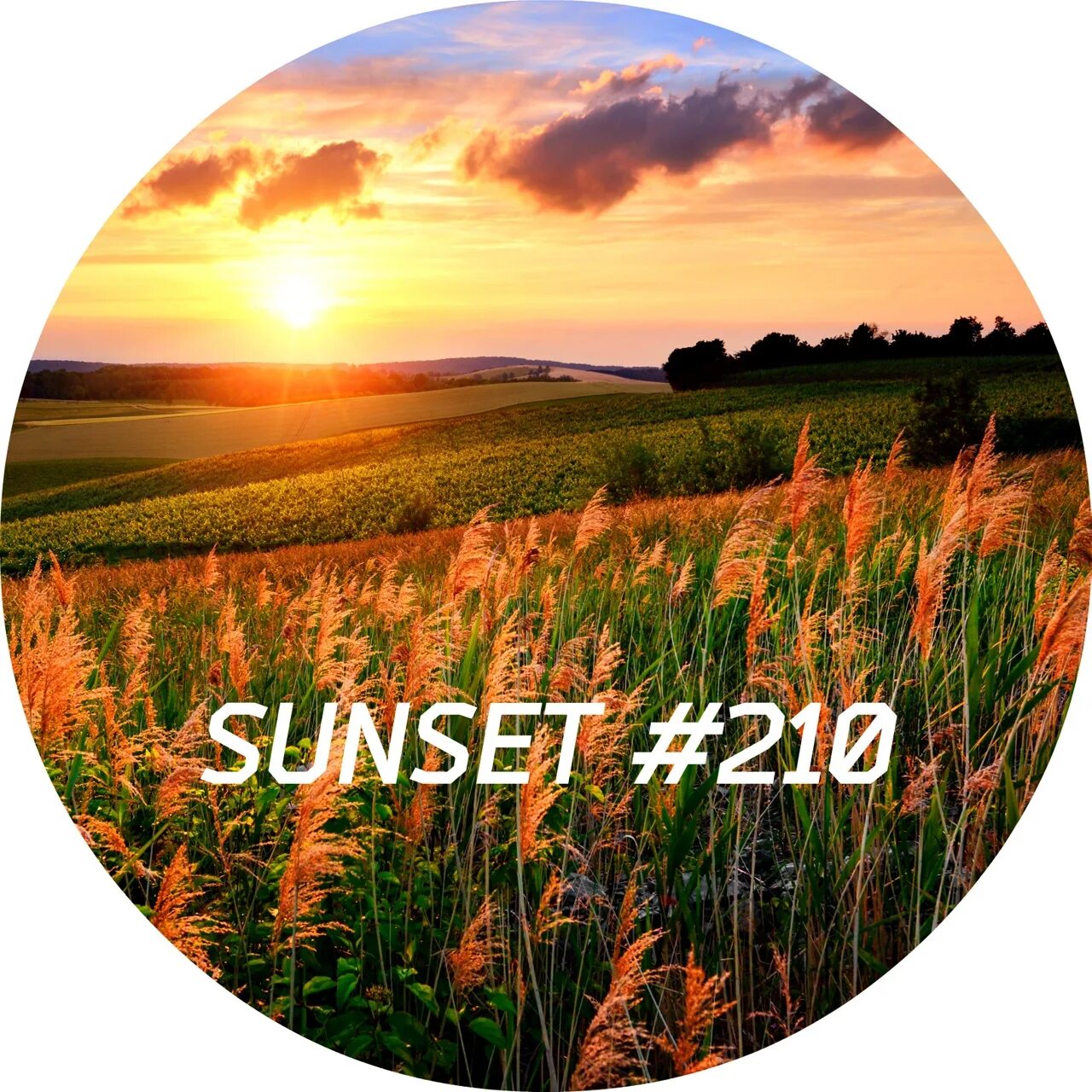 Sunset fm. Обложка Mehdi Eastern Sunset. Voiceless 2020. Voiceless Project Sunset.