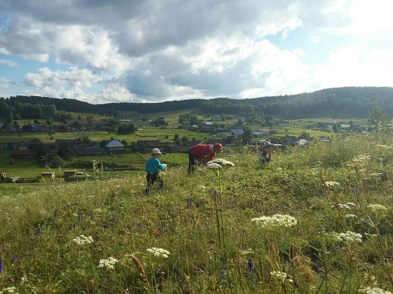Погода в анзяке. Погода в анзяке. Деревня дуван башкирия. Погода в анзяке. Погода в анзяке.