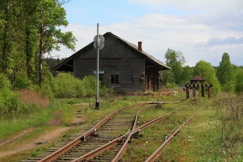 Поселок лесное тверская область