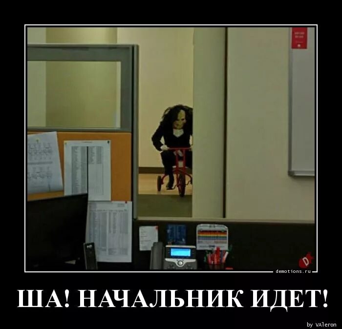 Шеф идите нахуй огузок. Шеф кухня мем. Иди шеф. Кухня мемы. Максим лавров мем шеф.