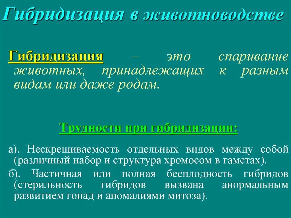 Использование гибридизации. Гибридизация в животноводстве. метод гибридизации у животных. гибридизация в животноводстве примеры. задачи гибридизации в животноводстве.