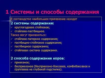Что не является системой содержания