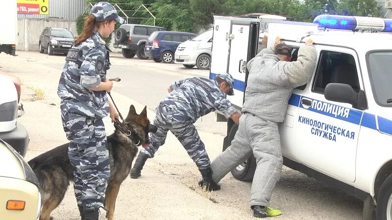 Оперативно следственная работа