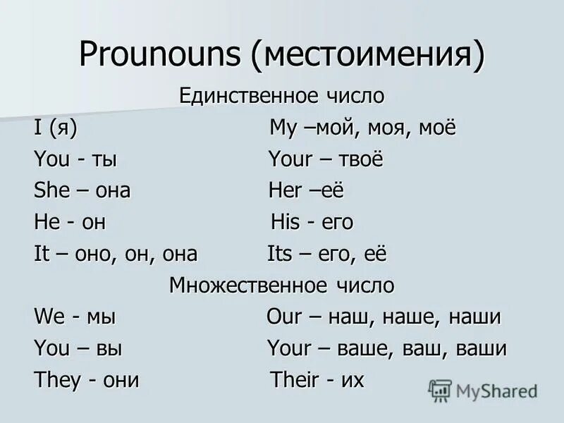 Папино пальто притяжательные местоимения