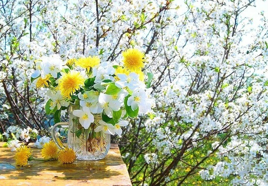 Доброго вторника. Теплого весеннего настроения. Весеннее настроение. Весеннего солнечного настроени. Чудесных майских дней.