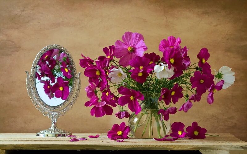 Зеркало с цветами. Цветы космея в вазе. Зеркальные вазы с цветами. Космея натюрморт.