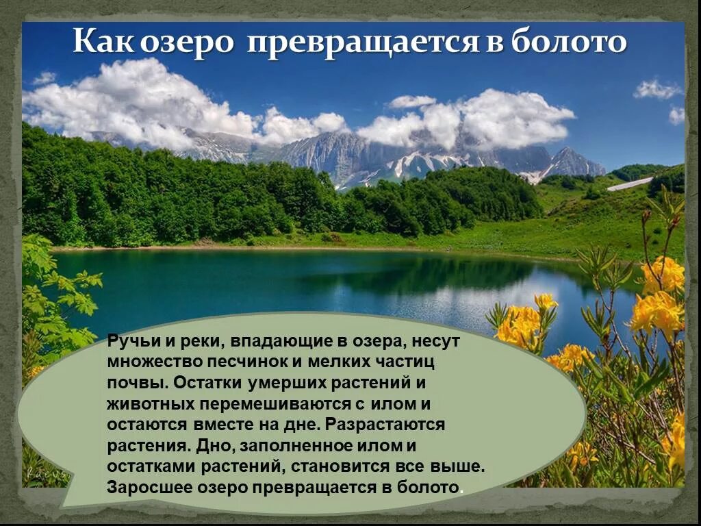 Превращается в болото. Озеро превращается в болото. как превратить болото в озеро. река превращается в болото. как озеро может превратиться в болото.