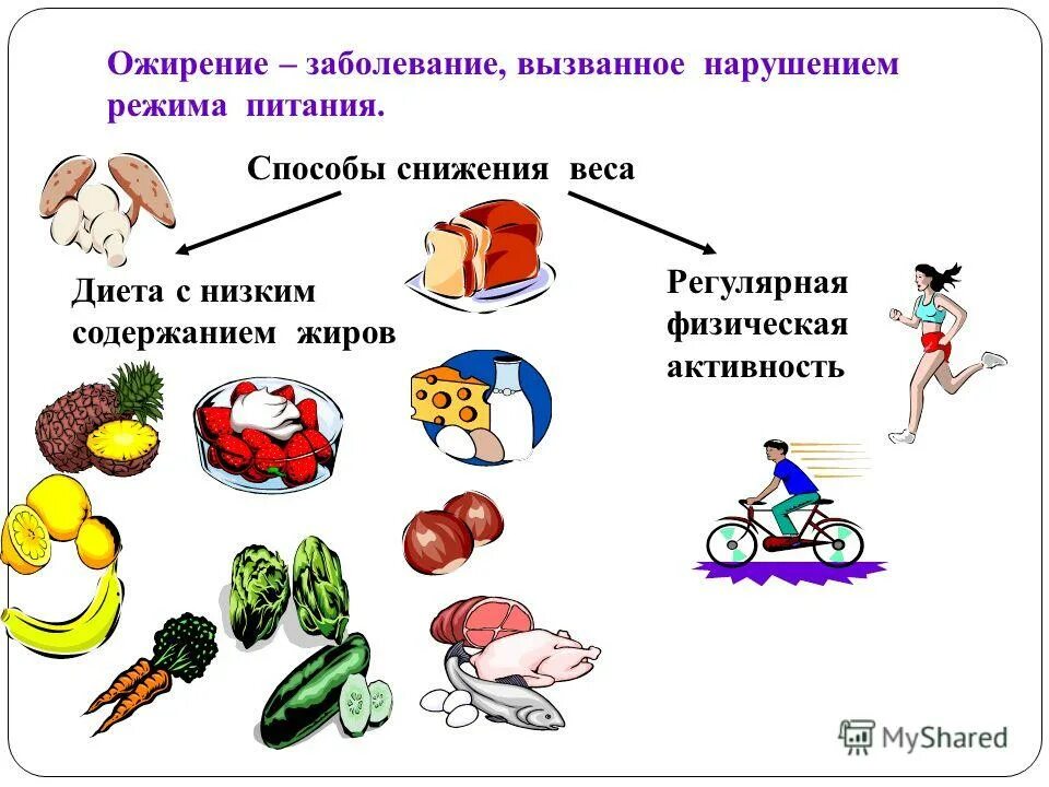 первым способом питания был. схема пирамиды здорового питания. тип плоские черви питание. первые живые организмы по способу питания. пирамида питания всемирная организация здравоохранения.