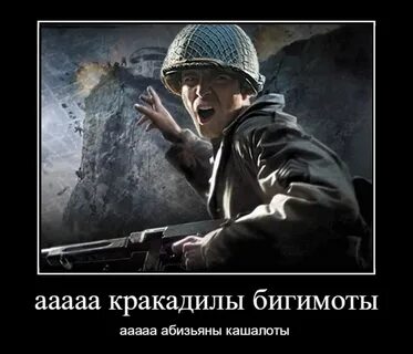 Мая туда