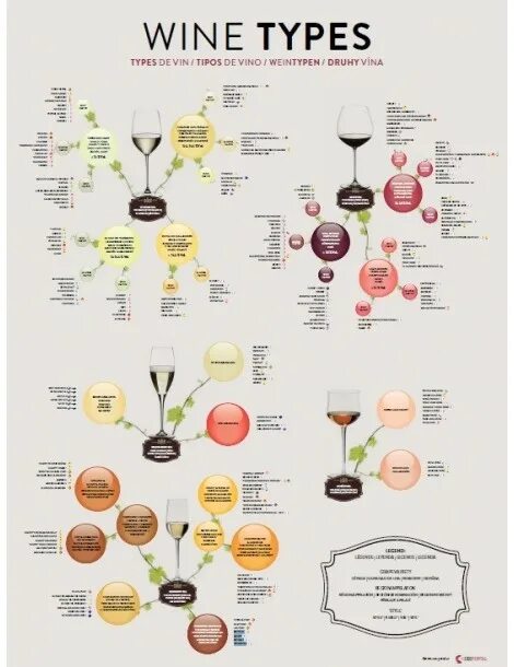 Types of Wine. Красное вино виды. Постер на стену Types of Wine. Different Types of Wine. Вино перевод на английский