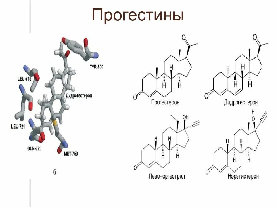 Прогестины. Половые гормоны гестагены. Половые гормоны гестагены. Прогестины это. Прогестерон.