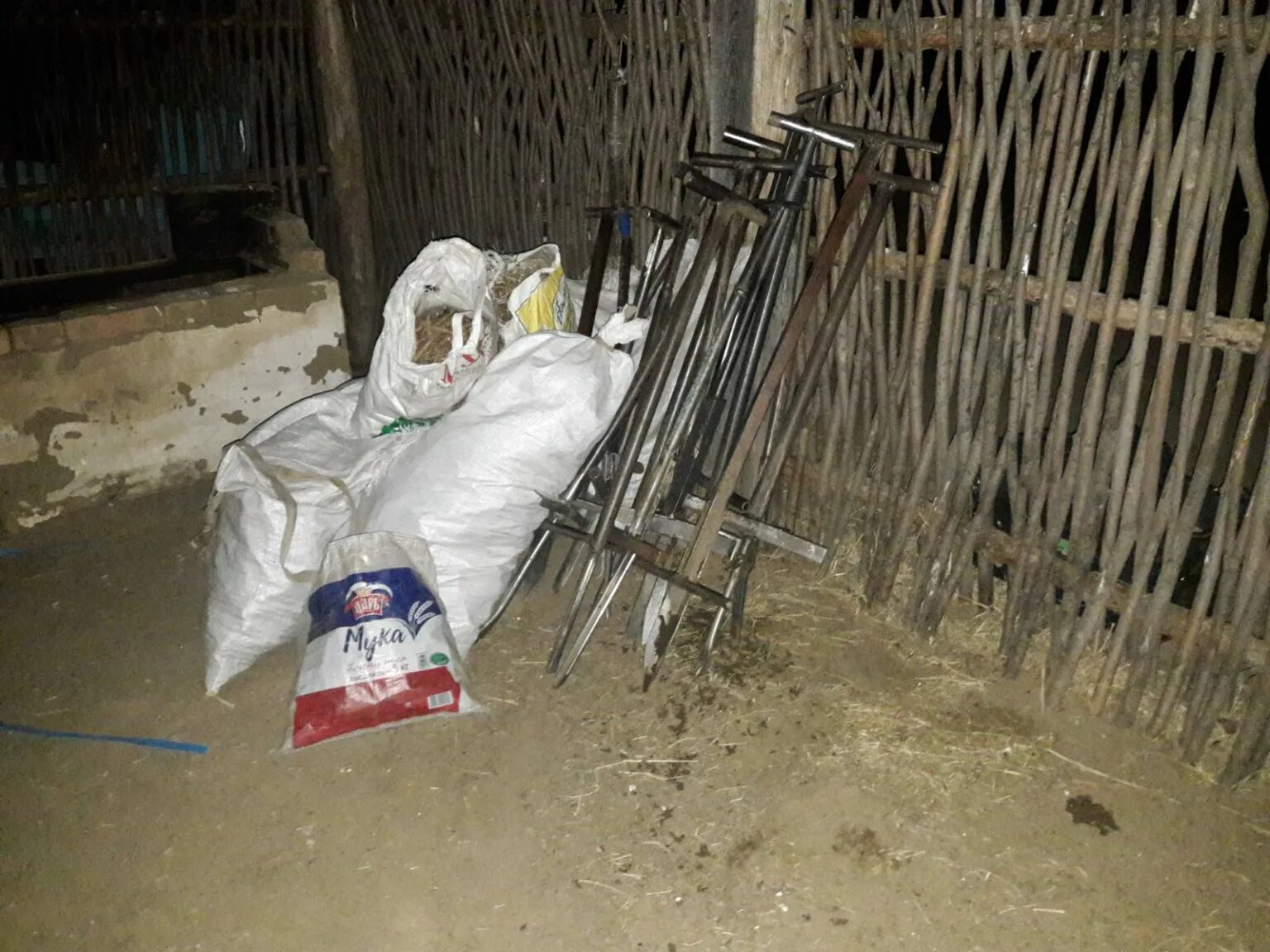 фото вскопанной земли. корень солодки добыча. копать корень солодки. корень который копают и продают. растение сапожниковия растопыренная.