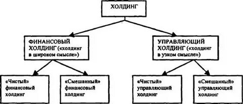 Холдингом является компания которая