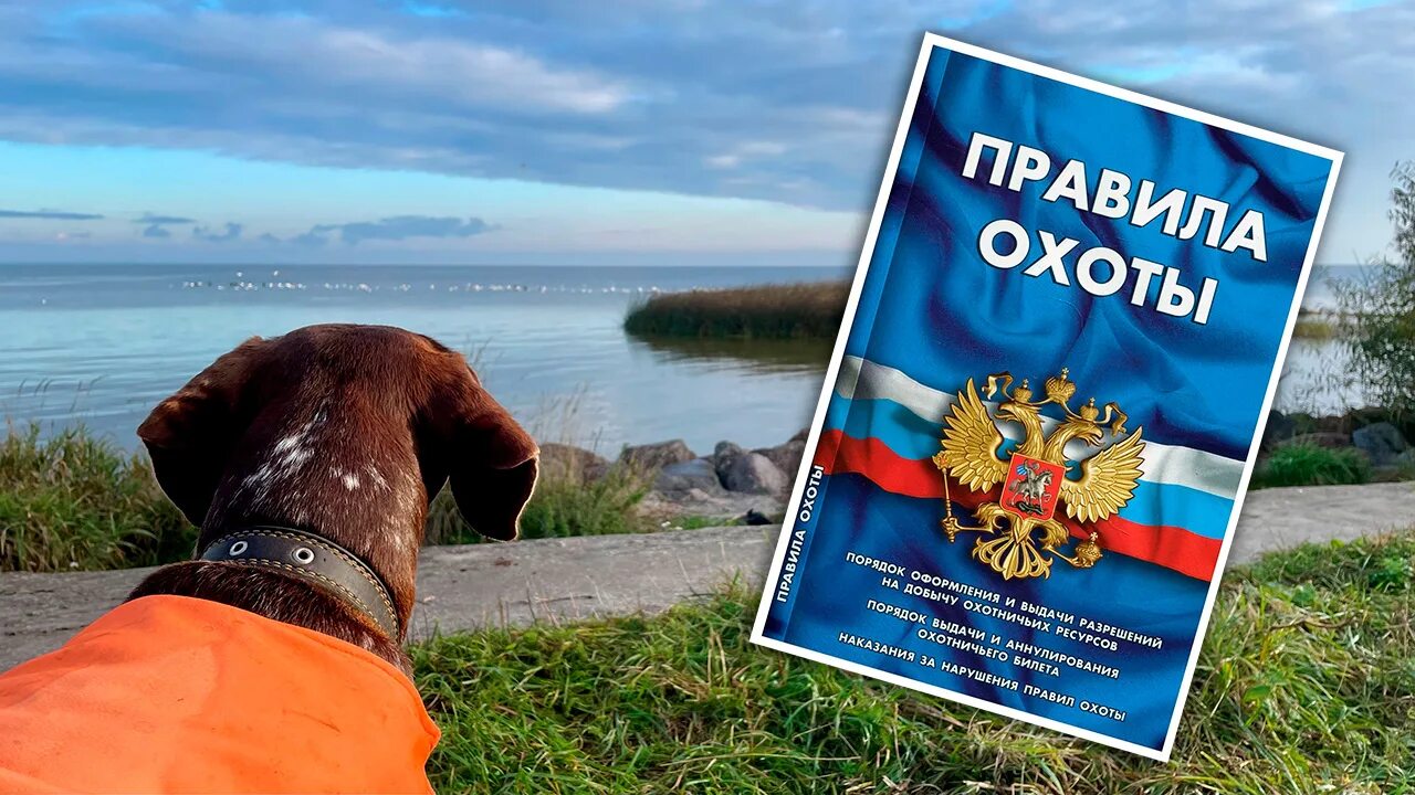 книга правила охоты 2021. правила охоты. правила охоты 2024. норма добычи водоплавающей дичи. правила охоты 2024.